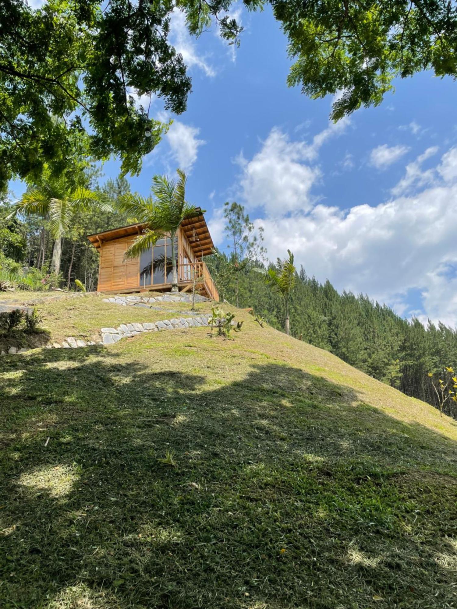 Home Boutique Natural Paradise La Vega  Bagian luar foto