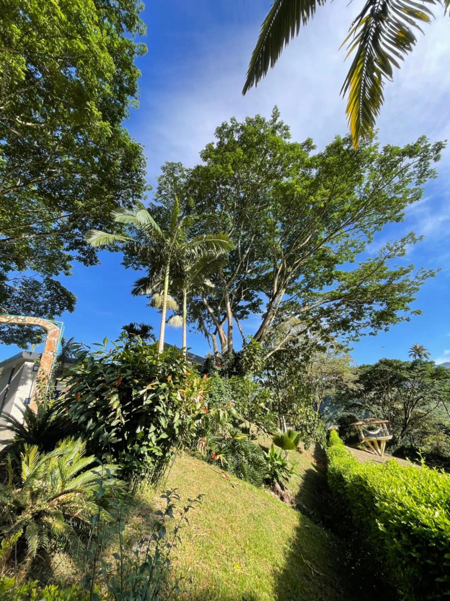 Home Boutique Natural Paradise La Vega  Bagian luar foto