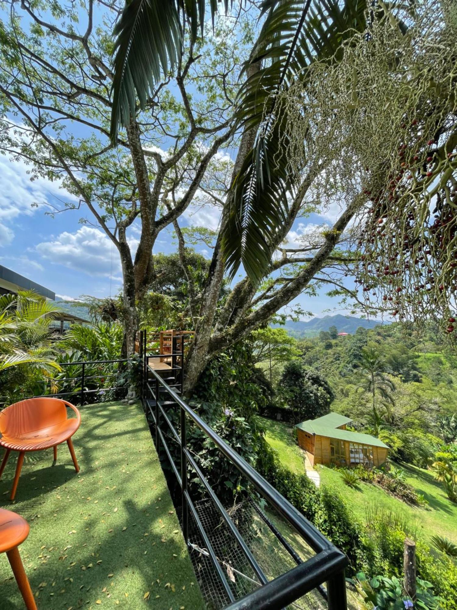 Home Boutique Natural Paradise La Vega  Bagian luar foto
